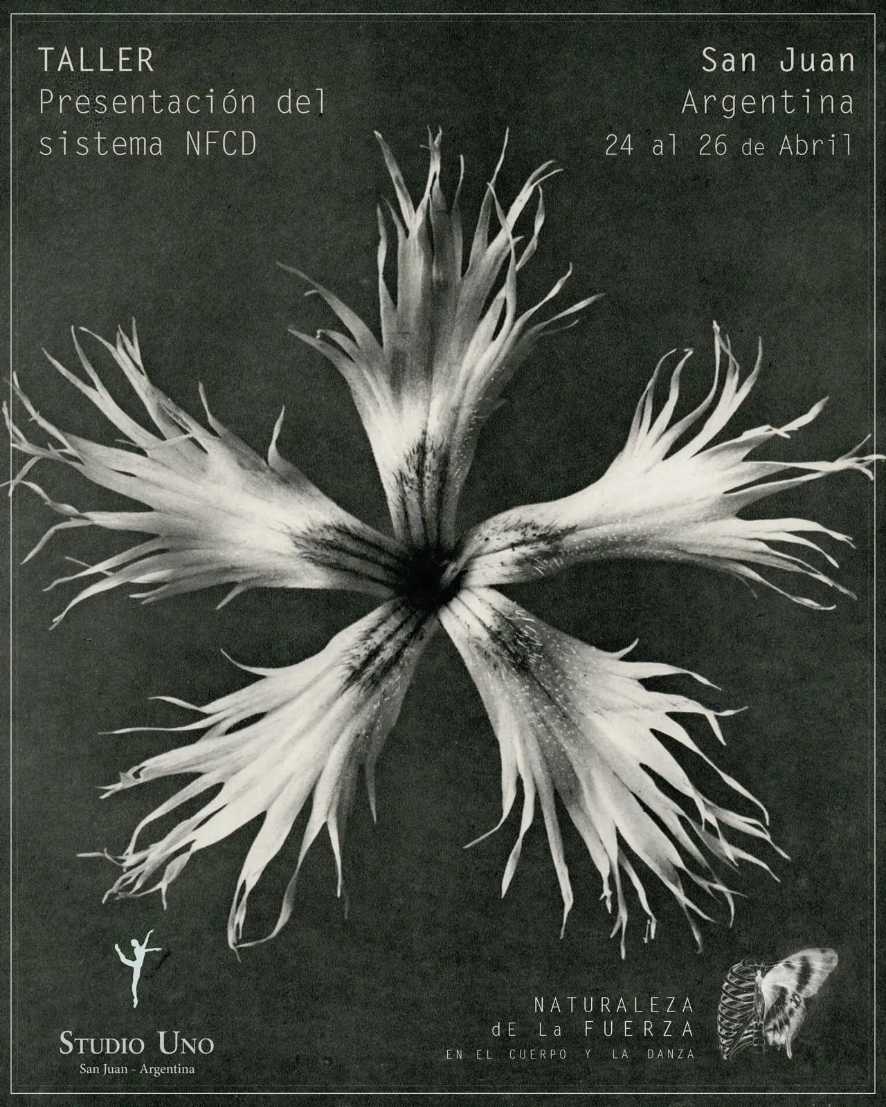 Flayer Flor San Juan